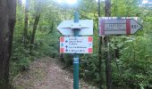 Trail On foot Caprino Bergamasco - Sentiero 808: Località Foppa - Coldara - Photo 3