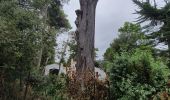Percorso Marcia La Guérinière - Rumba à noirmoutier - Photo 1