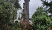 Tour Wandern La Guérinière - Rumba à noirmoutier - Photo 1