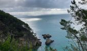 Trail Walking Crozon - Étape 5/6 du tour de Crozon (boucle à partir de St-Hernot) - Photo 5