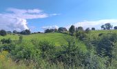 Trail Walking Herve - bolland . favechamps . la vaux . melen . bolland  - Photo 3
