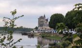 Trail Walking Montsoreau - Montsoreau - Candes-Saint-Martin Fontevraud-l'Abbaye - 24.4km 435m 5h40 (45mn) - 2024 07 14 - Photo 1