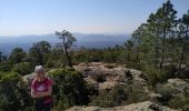 Tocht Stappen Bagnols-en-Forêt - le caste diaou - Photo 1