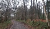 Trail Walking Verviers - mariomont - la gileppe aller via 