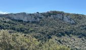 Randonnée Marche Pourrières - Mt Olympe et le pas du Titet - Photo 11