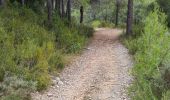 Trail Walking Aniane - entre vignes et forêts  - Photo 3