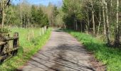 Tocht Stappen Trois-Ponts - A la découverte de Trois-Ponts  - Photo 4