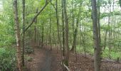 Tour Wandern Lüttich - montee par stvlaurent descente par st jacque Streupas.  variante tout bois  - Photo 14