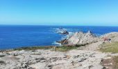 Tour Wandern Plogoff - pointe du Raz - Photo 8