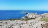 Tocht Stappen Plogoff - pointe du Raz - Photo 8