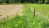 Tour Wandern Fernelmont - Noville les Bois 220823 - Photo 4
