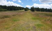 Excursión Senderismo Belmont - Tour du Champ du Feu - Photo 11