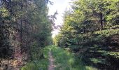 Randonnée Marche nordique Aywaille - trek2306 remouchamps . ninglinspo . Vert-Buisson . berinzenne . source sauveniere . niveze . sart . royonpré . polleur . chawion . theux . hodbomont . forestia . remouchamps  - Photo 2