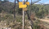 Trail Walking Saint-Zacharie - Saint-Zacharie  - Photo 3
