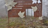 Trail Walking Chapelle-des-Bois - Chapelle-des-Bois en passant par la roche Bernard  - Photo 3