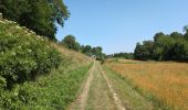 Randonnée Marche Rivarennes - Rivarennes - Rigny-Ussé via PRs - 17.3km 145m 4h55 (1h) - 2025 06 20 - Photo 2