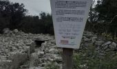 Trail Walking Viols-le-Fort - Viols le Fort chemin des tombes aven Vidal - Photo 16