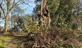 Tour Wandern Yvoir - Entre Meuse et Bocq, départ de Mont - Photo 2