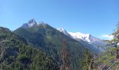 Excursión Senderismo Chamonix-Mont-Blanc - Buvette du Chapeau et Tête des Prapators 1844m - Photo 12