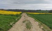 Percorso Marcia Houyet - Randonnée à Houyet 🌼 - Photo 6