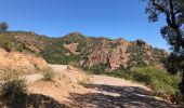 Percorso Marcia Fréjus - Plan de l'Esterel depuis la Maison Forestière du Malpey - Photo 1