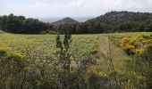 Excursión Senderismo Gigondas - gigondas  - Photo 2