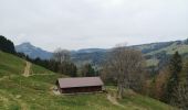 Tour Nordic Walking Val-de-Charmey - Treek charmey au lac noir.  - Photo 2