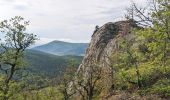 Tocht Trail Dambach-la-Ville - 2023-05-01 Course Trail Tous au Bernstein - Photo 1