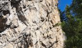 Trail Walking Prags - Braies - DOLOMITES 05 - Rifugio Dreizinnenhütte - Photo 9