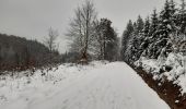 Randonnée Marche Baelen - Croix Noir 19 km - Photo 3