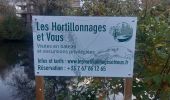 Tocht Stappen Amiens - amiens camon amiens par les hortillonnages - Photo 8