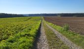 Trail Walking Hamois - Hamois 070923 - Photo 9