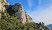 Randonnée Marche Évenos - du col de garde vers le gros cap - Photo 5