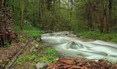 Percorso A piedi Sasca Montană - Sasca Montană – Cascada Șușara – Cărbunari (blue plus) - Photo 6