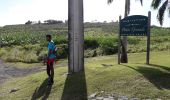 Trail Walking Le Vauclin - Pointe Faula Trou cohon en boucle  - Photo 16