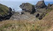 Trail Walking Cléden-Cap-Sizun - raz - Photo 6