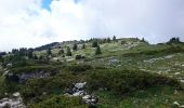 Randonnée Marche Entremont-le-Vieux - Croix de l Alpe Le Pinet  - Photo 9