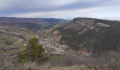 Excursión Senderismo Barjac - Villaret - Photo 1