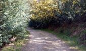 Trail Walking Peymeinade - Peygros  - Photo 9