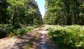 Tour Wandern Saint-Benoît-la-Forêt - Saint-Benoît-la-Forêt - GR3 PR - 15.1km 205m 3h50 - 2022 07 14 - Photo 3