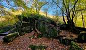 Trail Walking Honnelles - La promenade du Caillou qui Bique - Photo 18