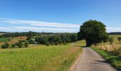 Tour Wandern Bièvre - Balade à Bellefontaine - Bièvre - Photo 14