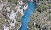 Randonnée Marche Baudinard-sur-Verdon - 2023-04-11 Gorges de Baudinard - Photo 1