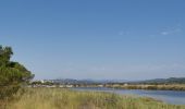 Tocht Stappen La Londe-les-Maures - les vieux salins - Photo 3