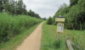 Trail On foot Wijdemeren - Ankeveense Plassen - Photo 6