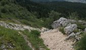 Excursión Senderismo Lans-en-Vercors - Pic Saint-Michel et col d'Arc Vercors - Photo 6