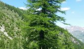 Tocht Stappen Le Monêtier-les-Bains - Le Monêtier  - Pas de l'âne  - Photo 2