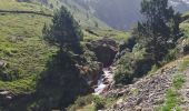 Randonnée Marche Aragnouet - Granges de moudang et source ferrugineuse  - Photo 4