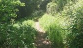 Tocht Stappen Les Arcs-sur-Argens - l'apié de raybaud - Photo 5