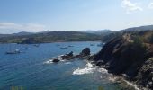 Trail Walking Port-Vendres - paulille . cap bear . paulille - Photo 9